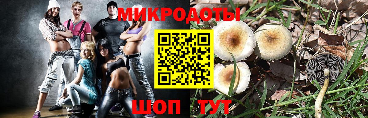 Псилоцибиновые грибы Cubensis Белебей