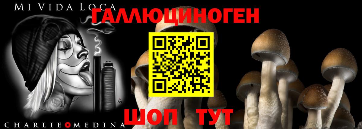 Псилоцибиновые грибы прущие грибы  Псилоцибиновые грибы прущие грибы  Белебей  Вход с VPN 